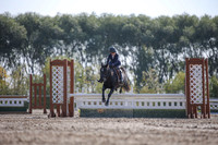 2025 - Karlee - Harvest Horse Show - Friday, September 12th 10959