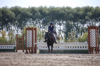 2025 - Karlee - Harvest Horse Show - Friday, September 12th 10962
