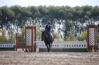 2025 - Karlee - Harvest Horse Show - Friday, September 12th 10964