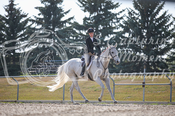 2025 - Karlee - Harvest Horse Show - Friday, September 12th 10986