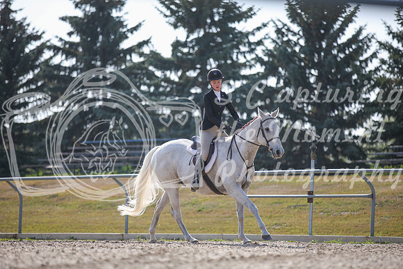 2025 - Karlee - Harvest Horse Show - Friday, September 12th 10988
