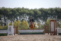 2025 - Karlee - Harvest Horse Show - Friday, September 12th 11510