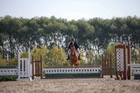 2025 - Karlee - Harvest Horse Show - Friday, September 12th 11512