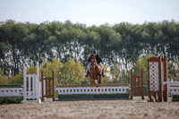 2025 - Karlee - Harvest Horse Show - Friday, September 12th 11515