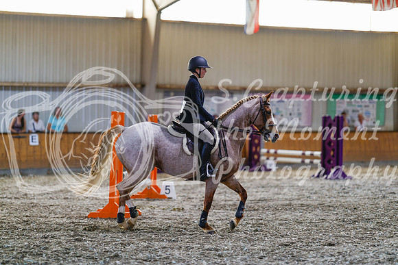 2025 - Haylee - Harvest Horse Show - Friday, September 12th 09682