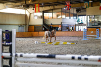 2025 - Haylee - Harvest Horse Show - Friday, September 12th 09688
