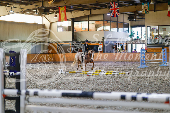 2025 - Haylee - Harvest Horse Show - Friday, September 12th 09688