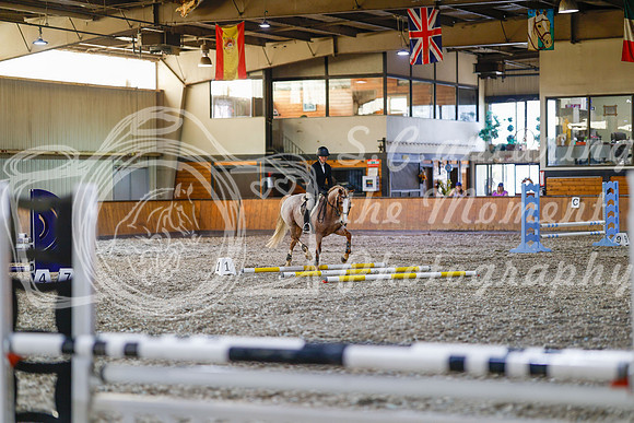 2025 - Haylee - Harvest Horse Show - Friday, September 12th 09689