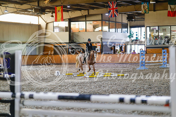 2025 - Haylee - Harvest Horse Show - Friday, September 12th 09695