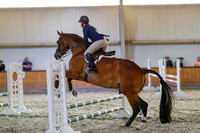 2025 - Haylee - Harvest Horse Show - Friday, September 12th 08643