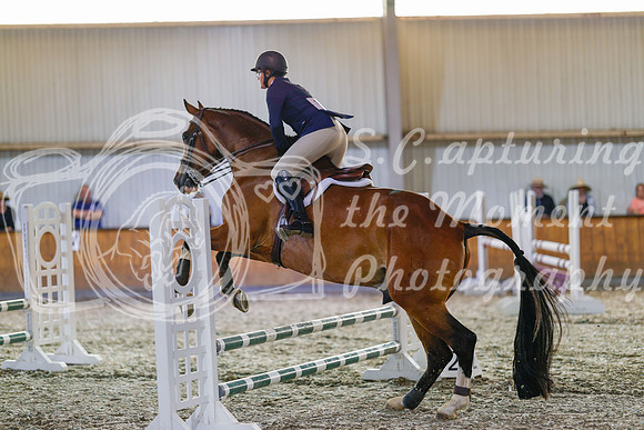 2025 - Haylee - Harvest Horse Show - Friday, September 12th 08643