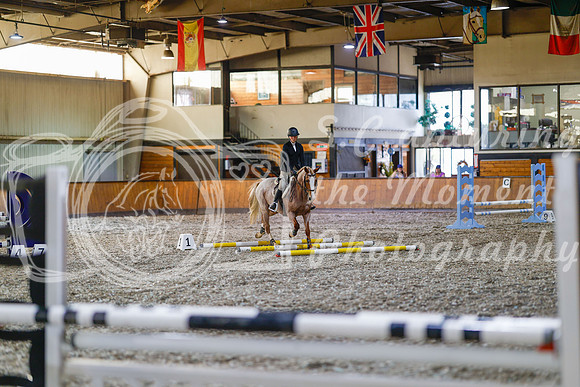 2025 - Haylee - Harvest Horse Show - Friday, September 12th 09696