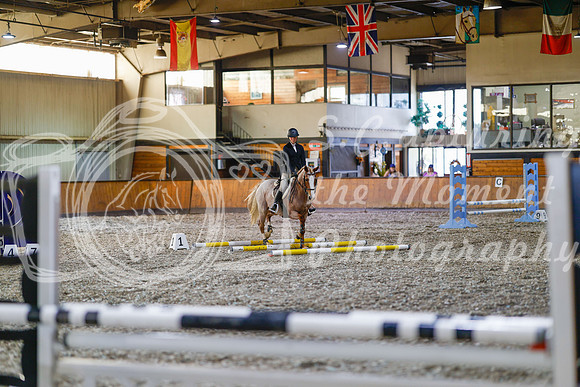 2025 - Haylee - Harvest Horse Show - Friday, September 12th 09699