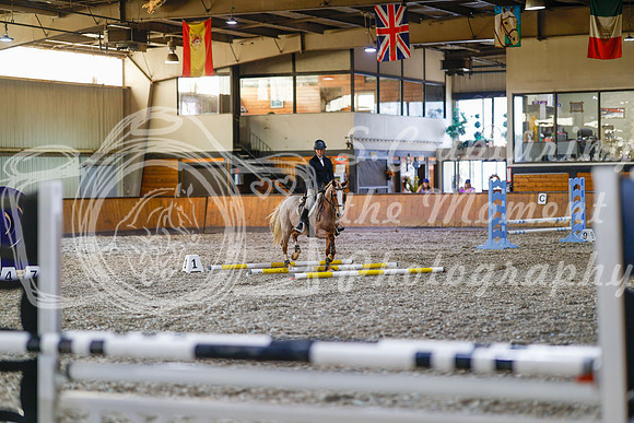 2025 - Haylee - Harvest Horse Show - Friday, September 12th 09700