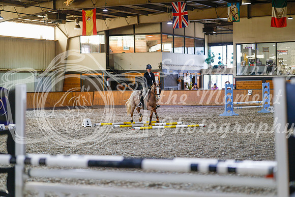 2025 - Haylee - Harvest Horse Show - Friday, September 12th 09702