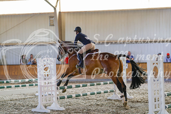2025 - Haylee - Harvest Horse Show - Friday, September 12th 08650
