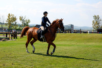 2025 - Shea - Fall Finale - Saturday September 13th - 13338