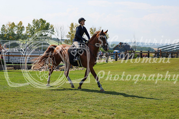2025 - Shea - Fall Finale - Saturday September 13th - 13334