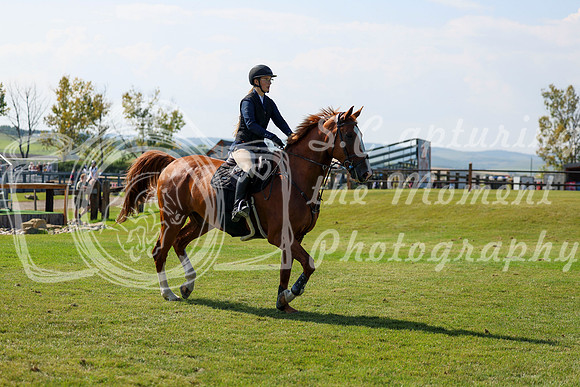 2025 - Shea - Fall Finale - Saturday September 13th - 13337