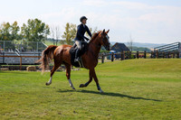 2025 - Shea - Fall Finale - Saturday September 13th - 13336