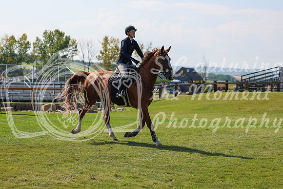 2025 - Shea - Fall Finale - Saturday September 13th - 13336