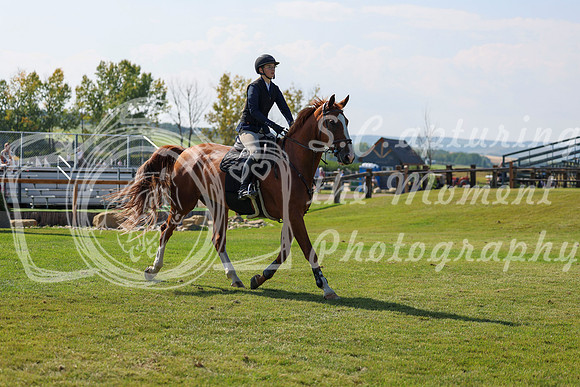 2025 - Shea - Fall Finale - Saturday September 13th - 13335