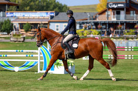 2025 - Shea - Fall Finale - Saturday September 13th - 13340