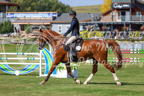 2025 - Shea - Fall Finale - Saturday September 13th - 13340