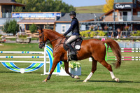 2025 - Shea - Fall Finale - Saturday September 13th - 13341