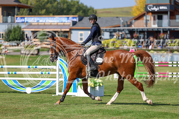 2025 - Shea - Fall Finale - Saturday September 13th - 13341