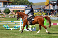 2025 - Shea - Fall Finale - Saturday September 13th - 13342