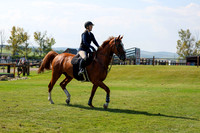 2025 - Shea - Fall Finale - Saturday September 13th - 13339
