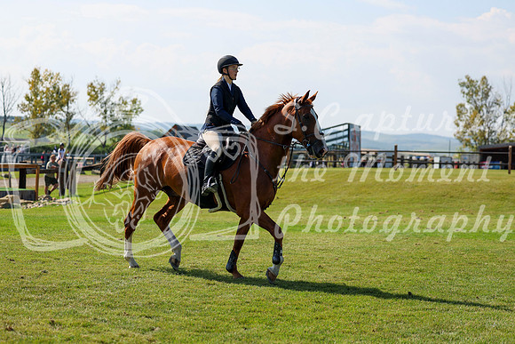 2025 - Shea - Fall Finale - Saturday September 13th - 13339