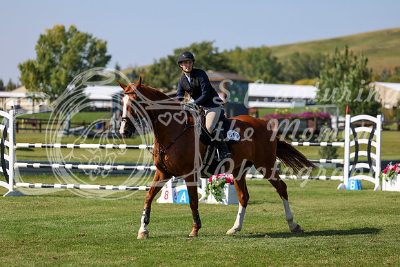 2025 - Shea - Fall Finale - Saturday September 13th - 13359
