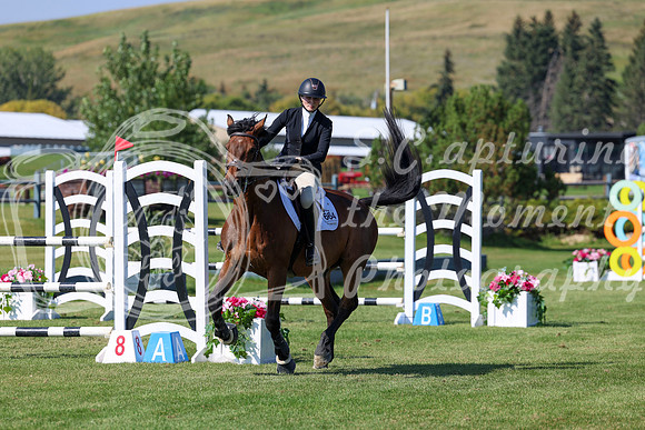 2025 - Shea - Fall Finale - Saturday September 13th - 13052