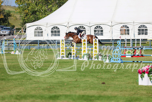 2025 - Shea - Fall Finale - Saturday September 13th - 13055