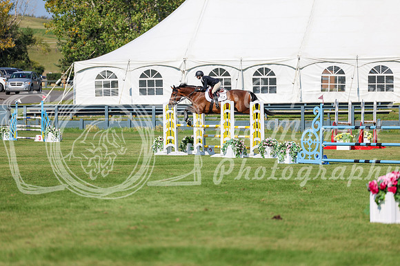 2025 - Shea - Fall Finale - Saturday September 13th - 13056