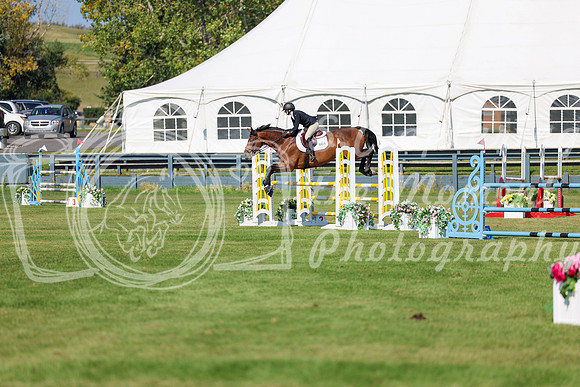2025 - Shea - Fall Finale - Saturday September 13th - 13058