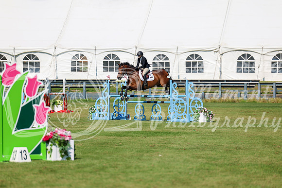 2025 - Shea - Fall Finale - Saturday September 13th - 13066