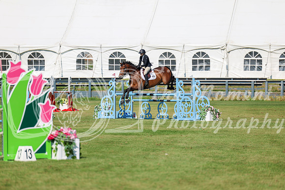 2025 - Shea - Fall Finale - Saturday September 13th - 13067