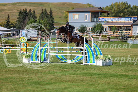 2025 - Shea - Fall Finale - Saturday September 13th - 13069