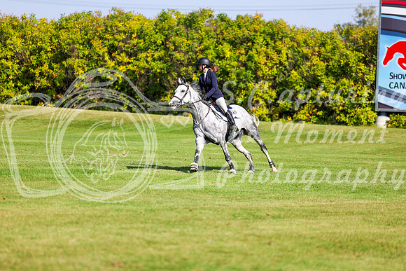 2025 - Shea - Fall Finale - Saturday September 13th - 13231