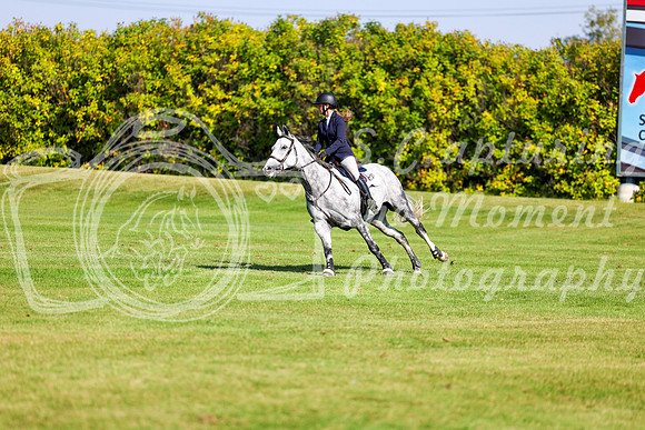 2025 - Shea - Fall Finale - Saturday September 13th - 13233