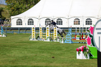 2025 - Shea - Fall Finale - Saturday September 13th - 13240