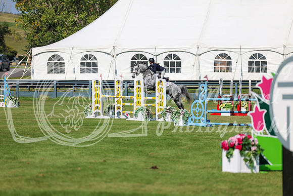 2025 - Shea - Fall Finale - Saturday September 13th - 13240