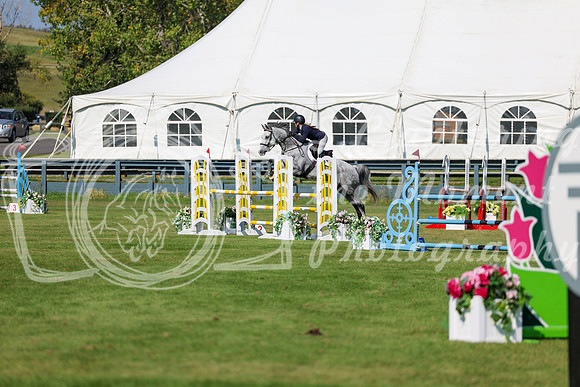 2025 - Shea - Fall Finale - Saturday September 13th - 13241