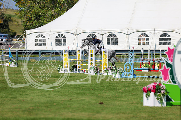 2025 - Shea - Fall Finale - Saturday September 13th - 13242