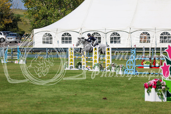 2025 - Shea - Fall Finale - Saturday September 13th - 13245
