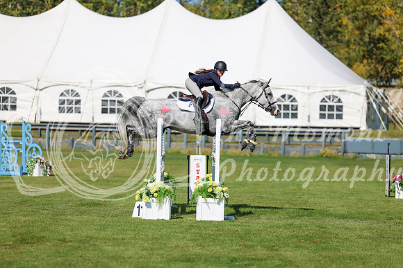 2025 - Shea - Fall Finale - Saturday September 13th - 13305