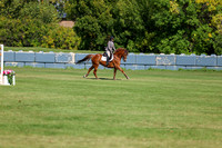 2025 - Shea - Fall Finale - Saturday September 13th - 13128
